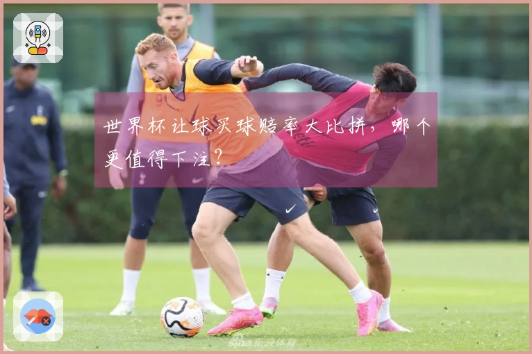 世界杯让球买球赔率大比拼，哪个更值得下注？