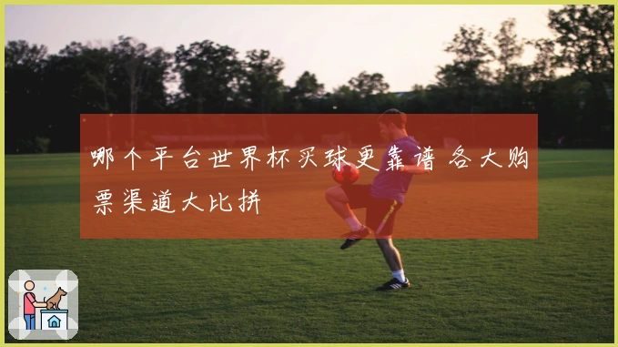 哪个平台世界杯买球更靠谱 各大购票渠道大比拼