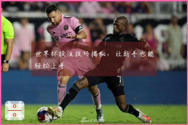 世界杯投注技巧揭秘，让新手也能轻松上手