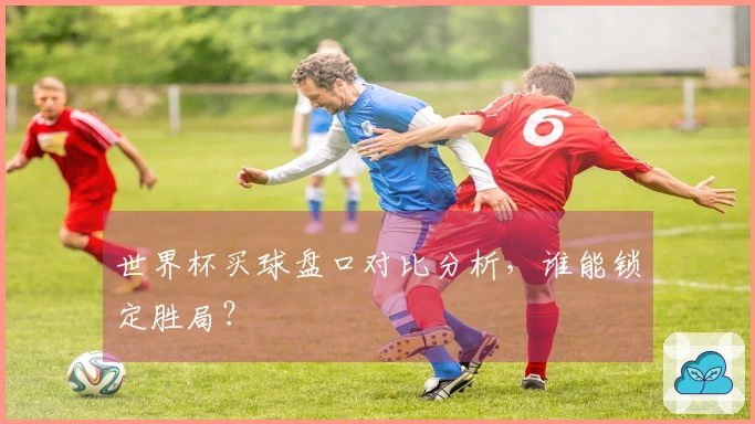 世界杯买球盘口对比分析，谁能锁定胜局？
