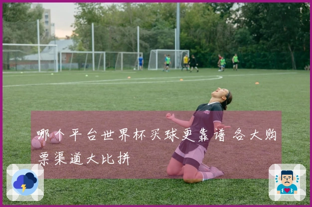 哪个平台世界杯买球更靠谱 各大购票渠道大比拼