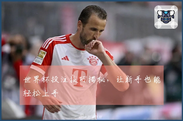 世界杯投注技巧揭秘，让新手也能轻松上手