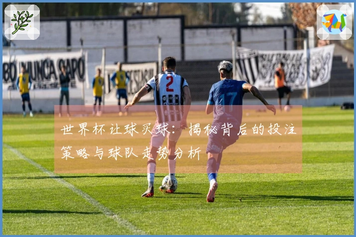 世界杯让球买球：揭秘背后的投注策略与球队走势分析