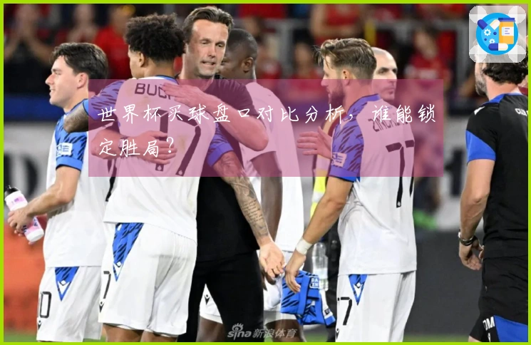 世界杯买球盘口对比分析，谁能锁定胜局？