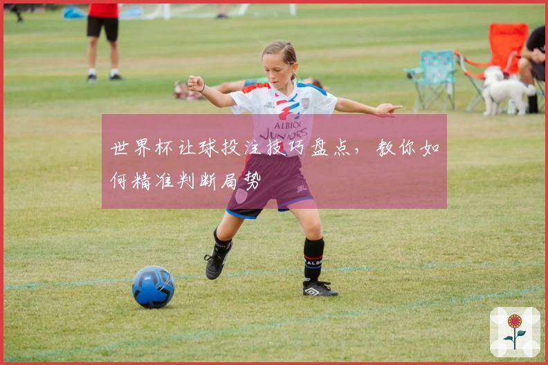 世界杯让球投注技巧盘点，教你如何精准判断局势