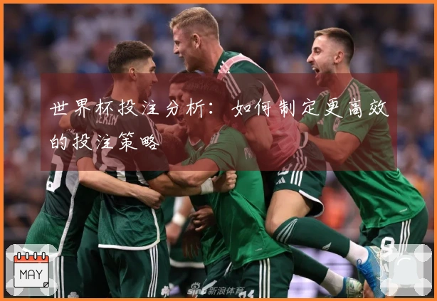 世界杯投注分析：如何制定更高效的投注策略