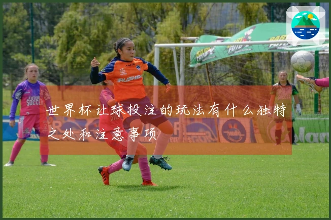 世界杯让球投注的玩法有什么独特之处和注意事项