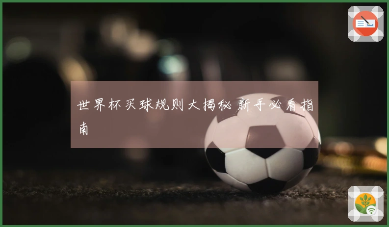 世界杯买球规则大揭秘 新手必看指南