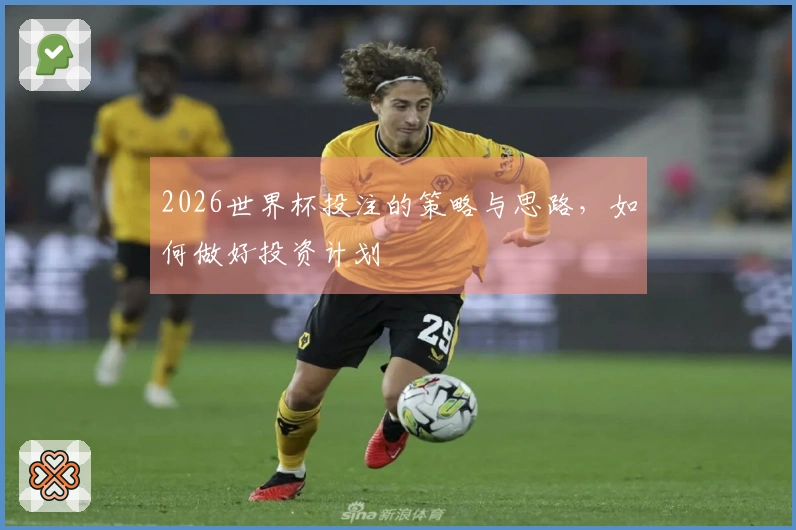 2026世界杯投注的策略与思路，如何做好投资计划